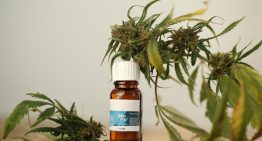 CBD Cream – Facts You Need to Know