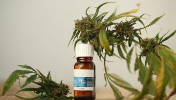 CBD Cream – Facts You Need to Know