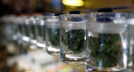 What are the factors considered for the best marijuana dispensary?