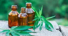 What are the expenses to worry in beginning a CBD oil sale for commercial enterprise?﻿