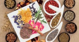 Phytotherapy: How To Treat With Plants?