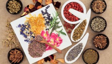 Phytotherapy: How To Treat With Plants?
