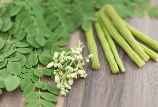 Harnessing Nature’s Miracle: The Medicinal Properties of Moringa Oleifera